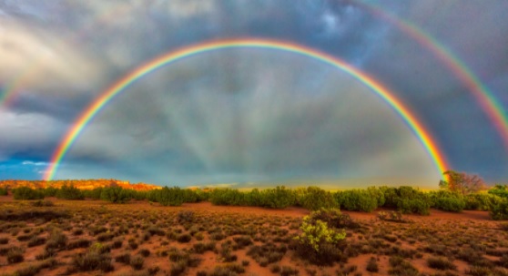 How the rainbow became the symbol of LGBT pride